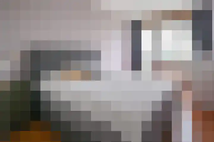 Buizerd 20 Baflo thumbnail 14