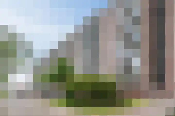 Buizerd 20 Baflo thumbnail 24