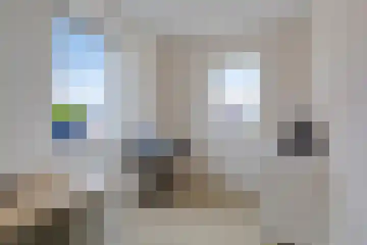 Buizerd 20 Baflo thumbnail 25