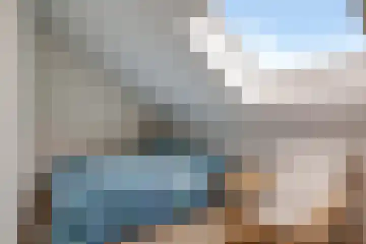 Buizerd 20 Baflo thumbnail 29