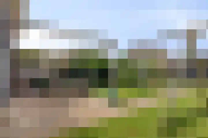 Buizerd 20 Baflo thumbnail 33