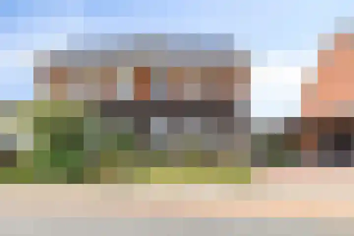 Buizerd 20 Baflo thumbnail 38