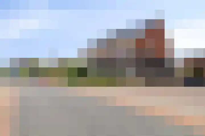 Buizerd 20 Baflo thumbnail 39