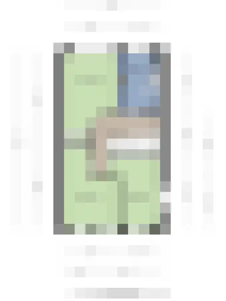 Buizerd 20 Baflo thumbnail 41