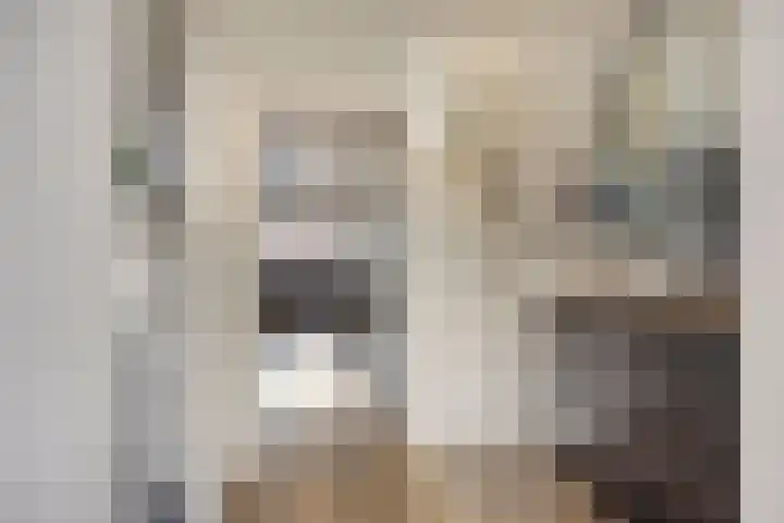 Buizerd 20 Baflo thumbnail 5