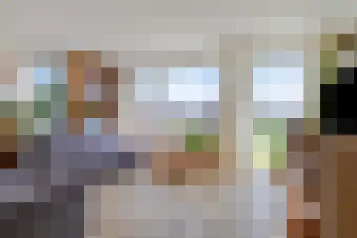 Buizerd 20 Baflo thumbnail 7