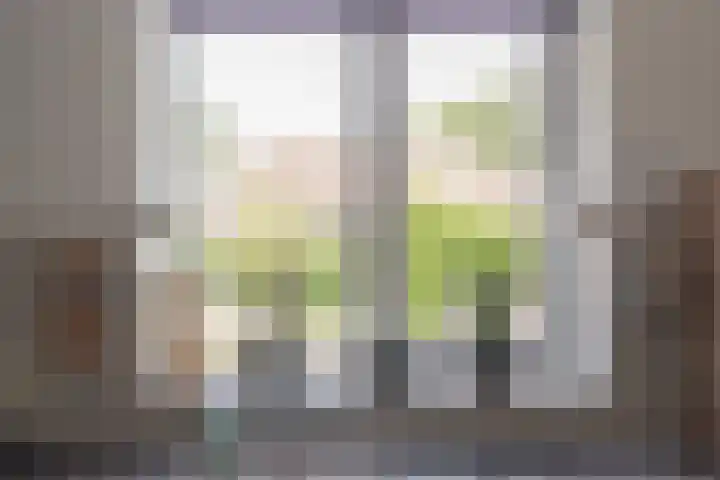 Buizerd 22 Baflo thumbnail 11