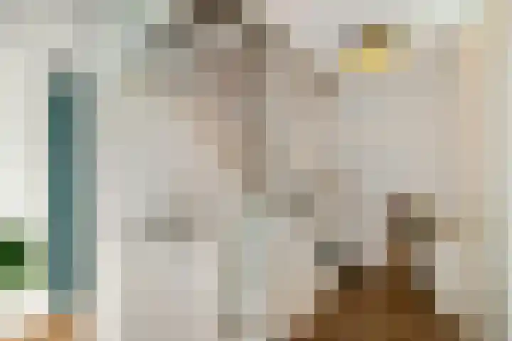 Buizerd 22 Baflo thumbnail 15
