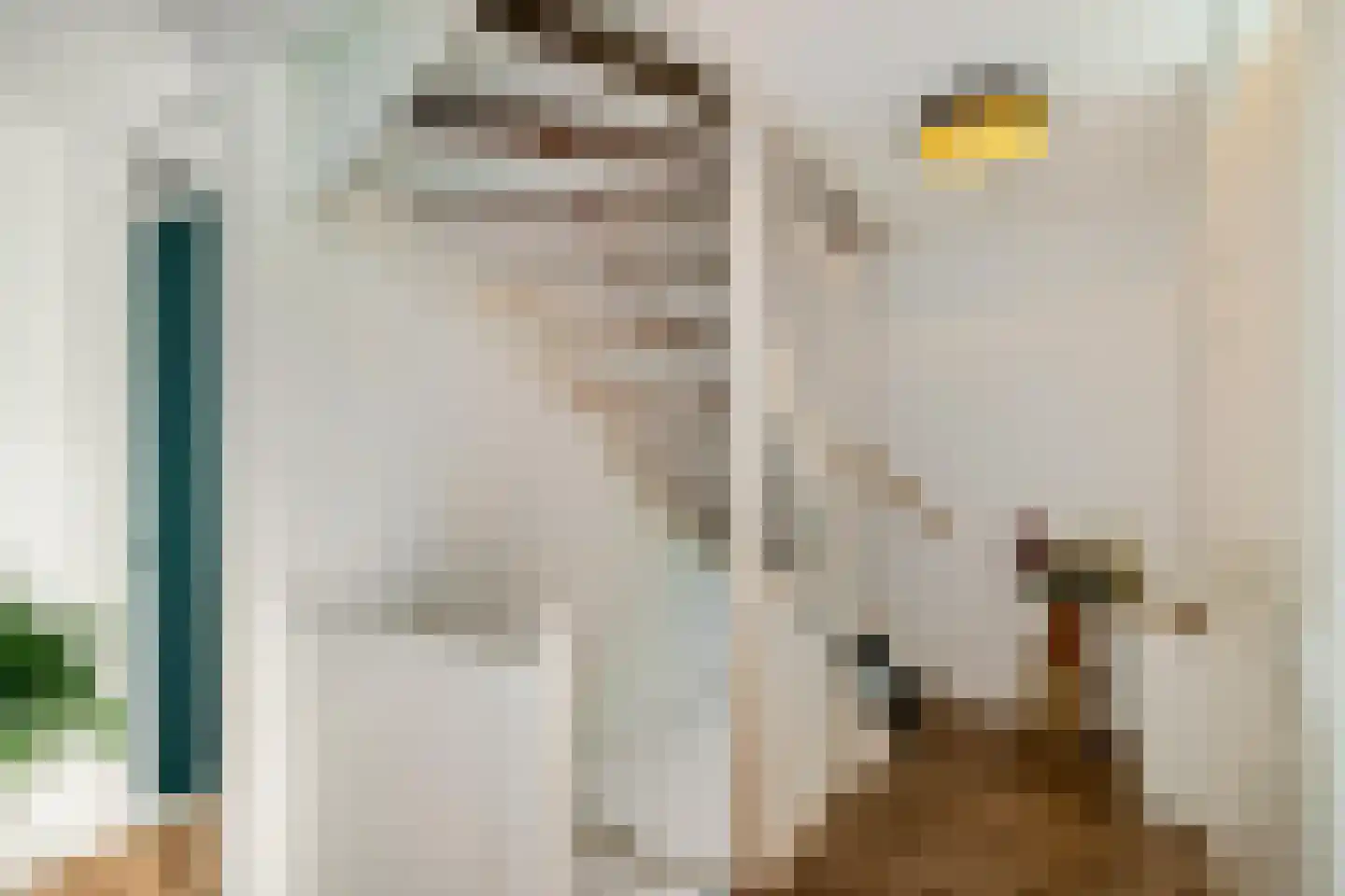 Buizerd 22 Baflo thumbnail 15