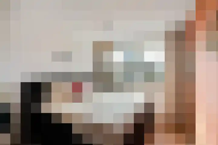 Buizerd 22 Baflo thumbnail 16