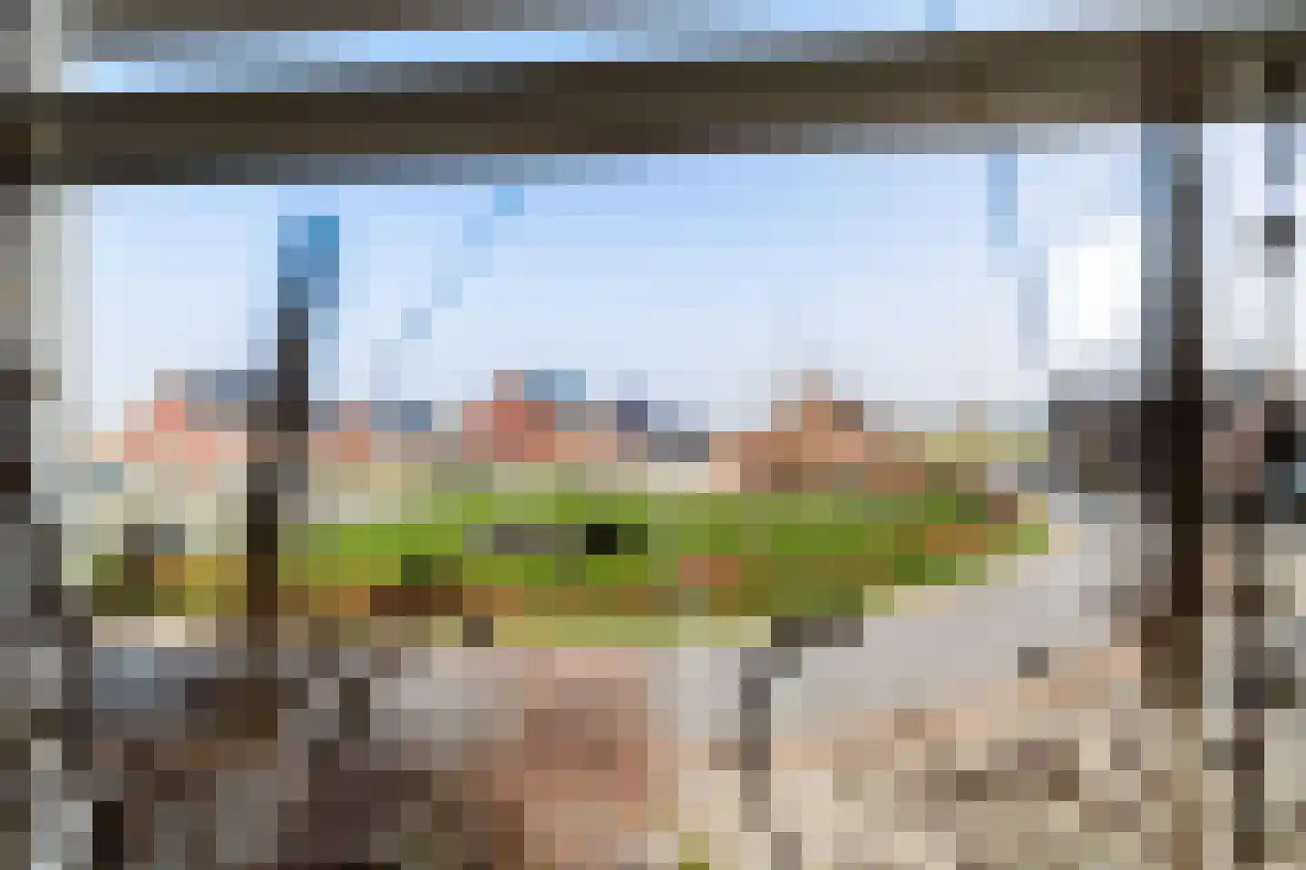 Buizerd 22 Baflo thumbnail 19