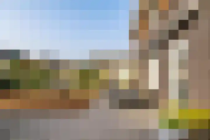 Buizerd 22 Baflo thumbnail 29