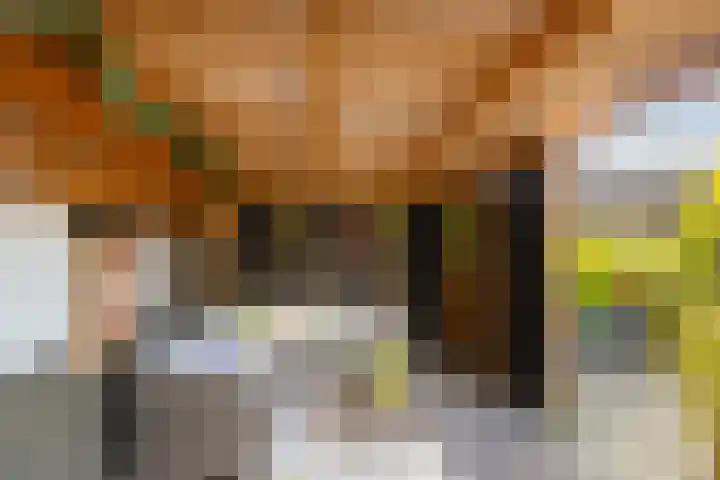 Buizerd 22 Baflo foto 3