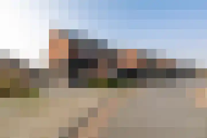 Buizerd 22 Baflo thumbnail 33