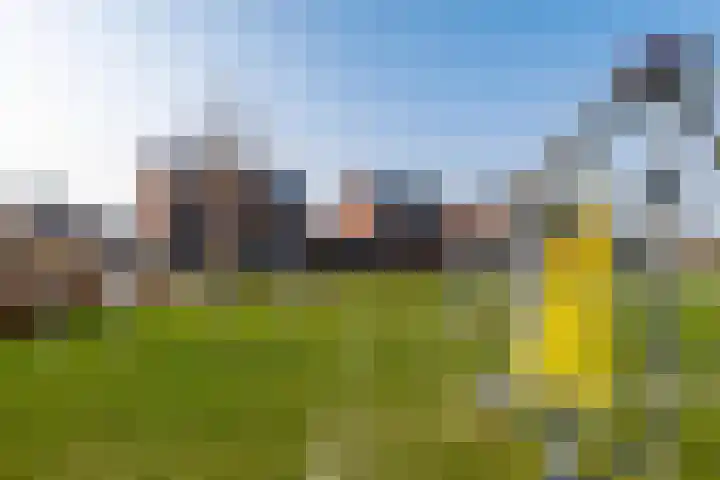 Buizerd 22 Baflo thumbnail 34