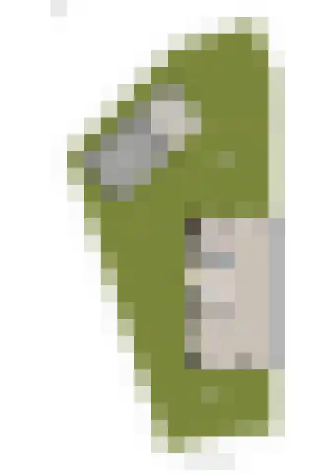 Buizerd 22 Baflo thumbnail 35