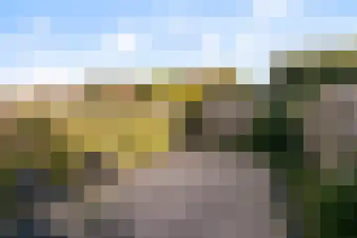 Buizerd 22 Bergen op Zoom thumbnail 19
