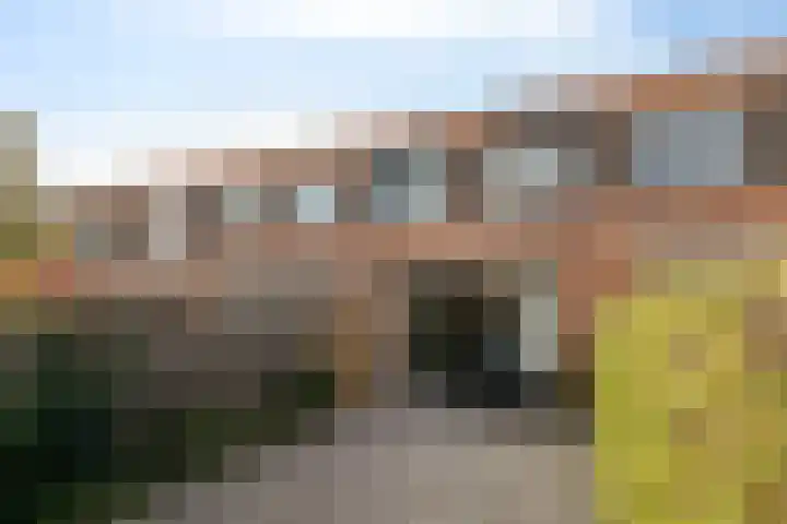 Buizerd 22 Bergen op Zoom thumbnail 21