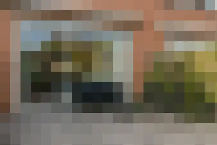 Buizerd 22 Bergen op Zoom thumbnail 22