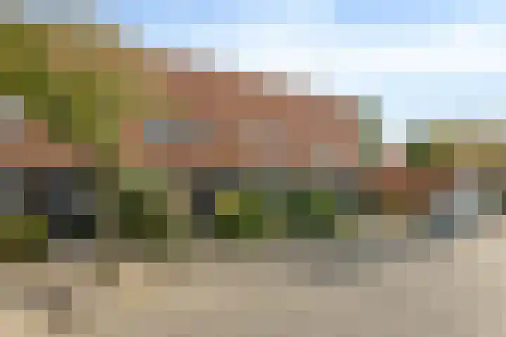 Buizerd 22 Bergen op Zoom thumbnail 23