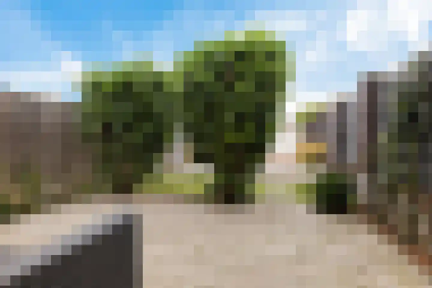 Buizerd 22 Uithoorn thumbnail 34