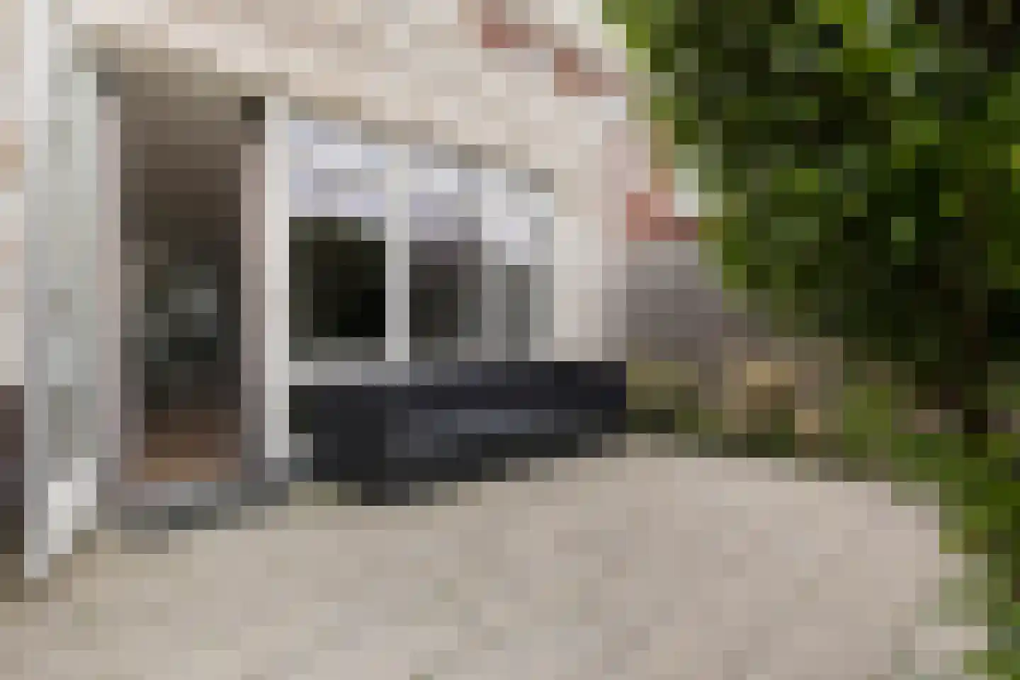Buizerd 22 Uithoorn thumbnail 35