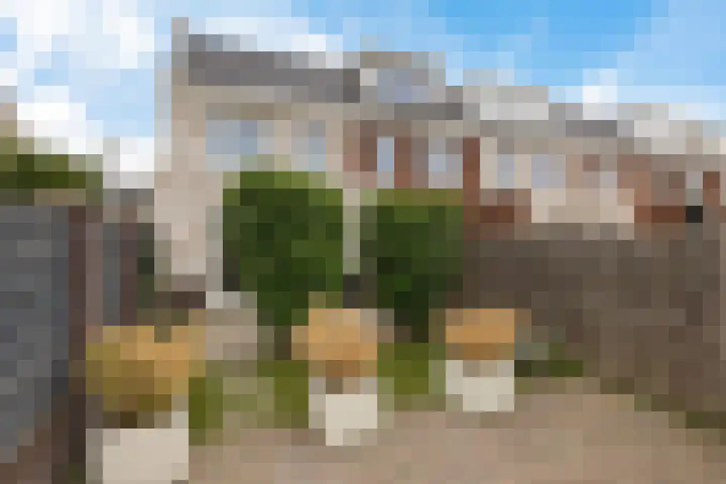 Buizerd 22 Uithoorn thumbnail 36
