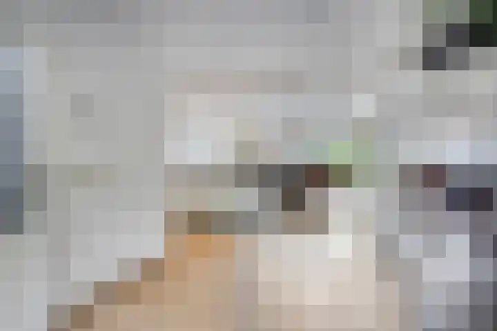 Buizerd 222 Veldhoven thumbnail 10