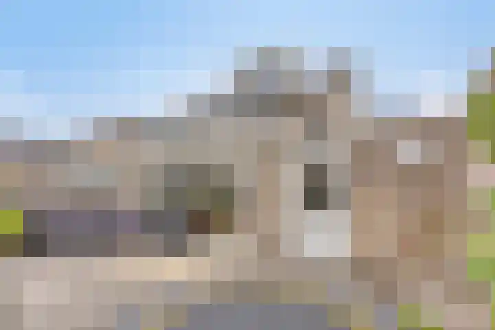 Buizerd 222 Veldhoven thumbnail 30