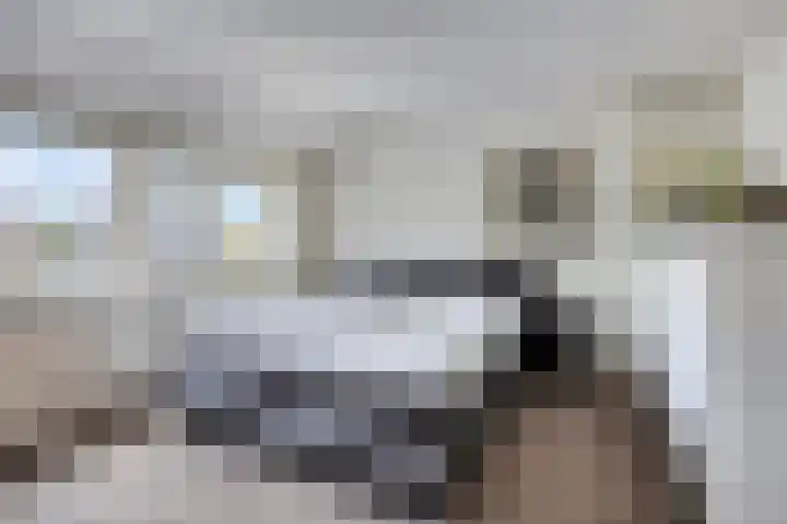 Buizerd 222 Veldhoven thumbnail 5