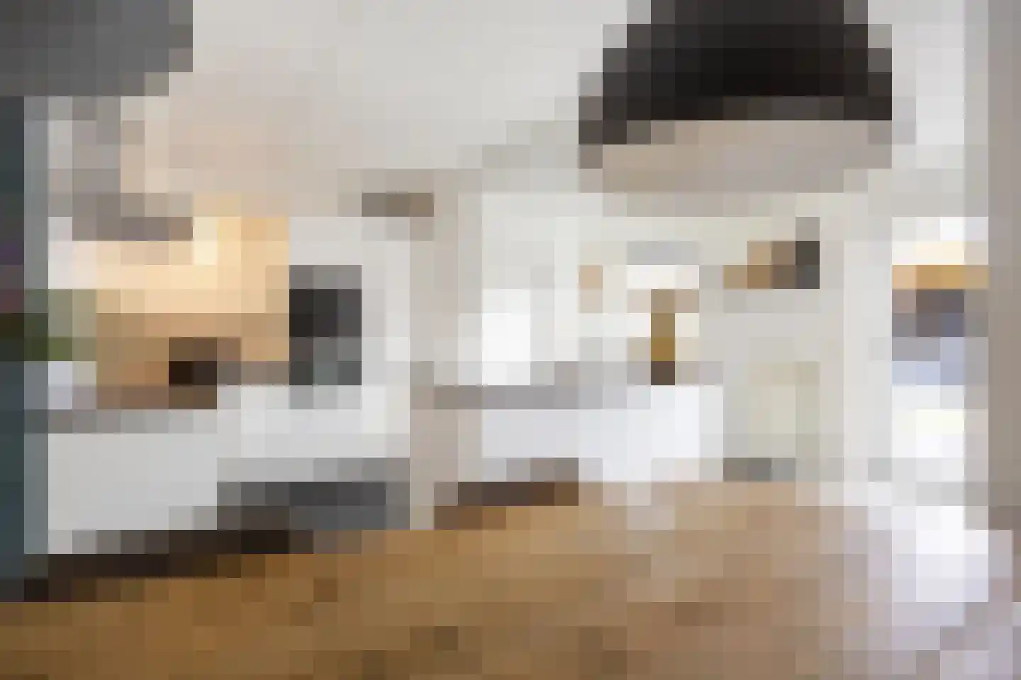 Buizerd 23 Siddeburen thumbnail 21