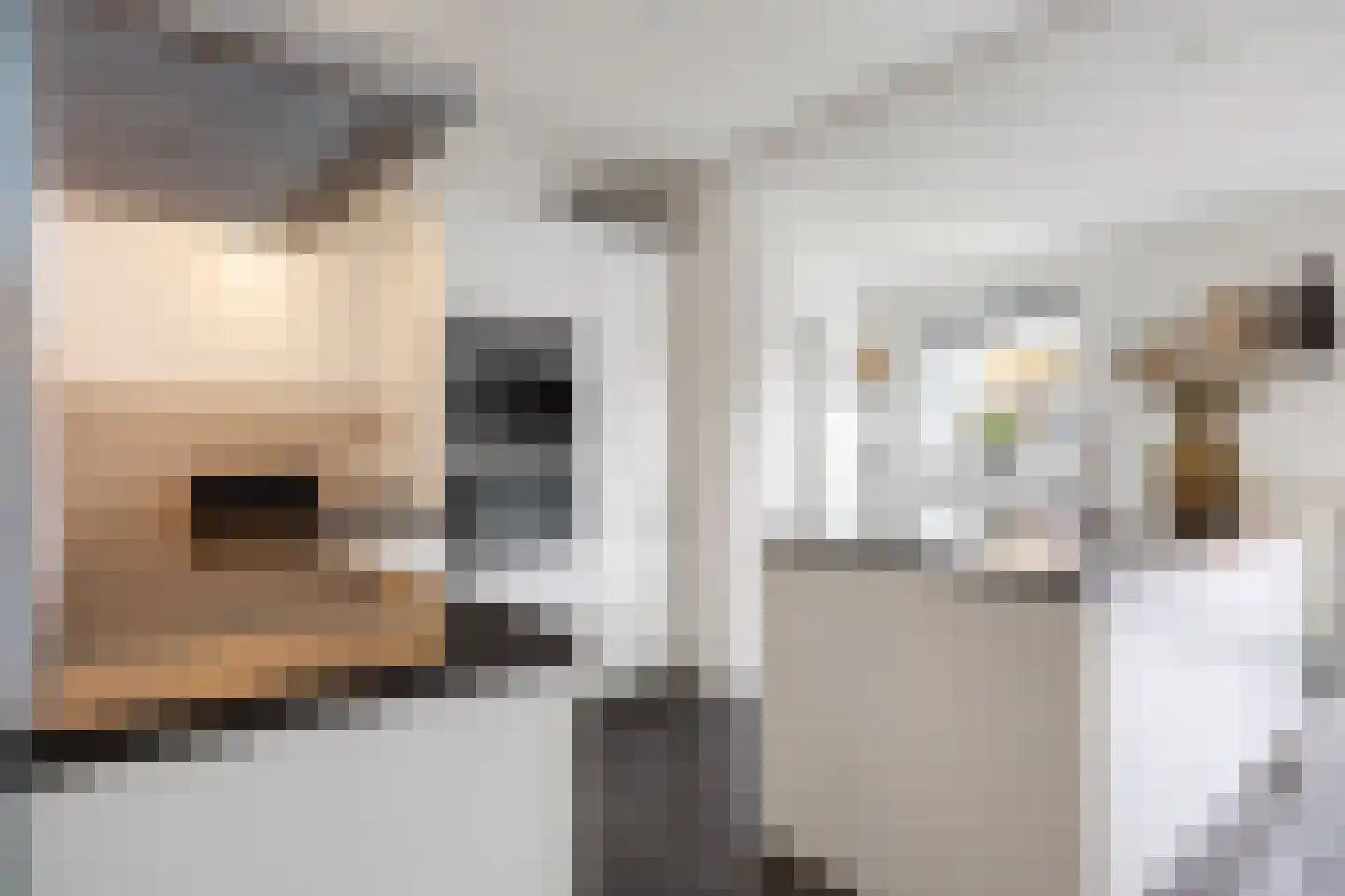 Buizerd 23 Siddeburen thumbnail 28