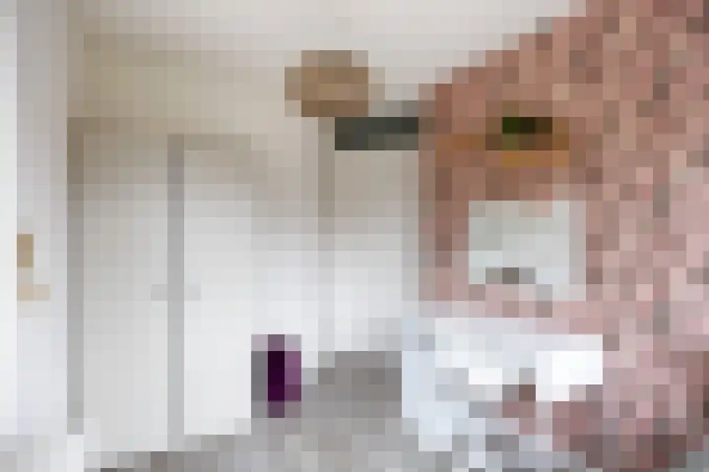 Buizerd 23 Siddeburen thumbnail 41