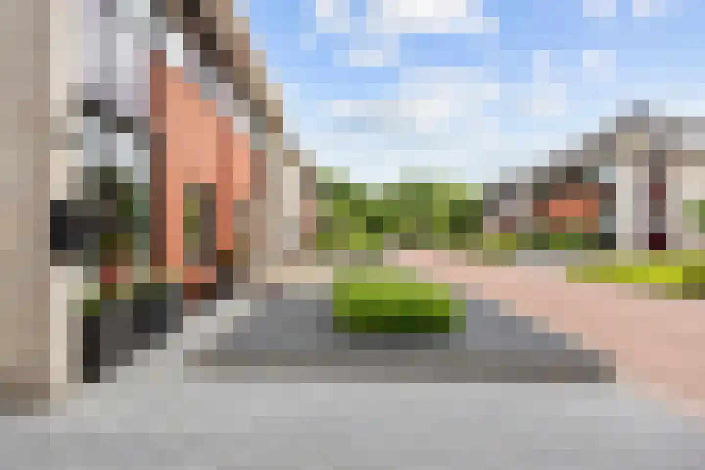 Buizerd 23 Siddeburen thumbnail 5