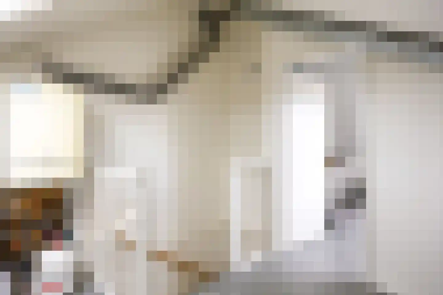 Buizerd 23 Siddeburen thumbnail 51