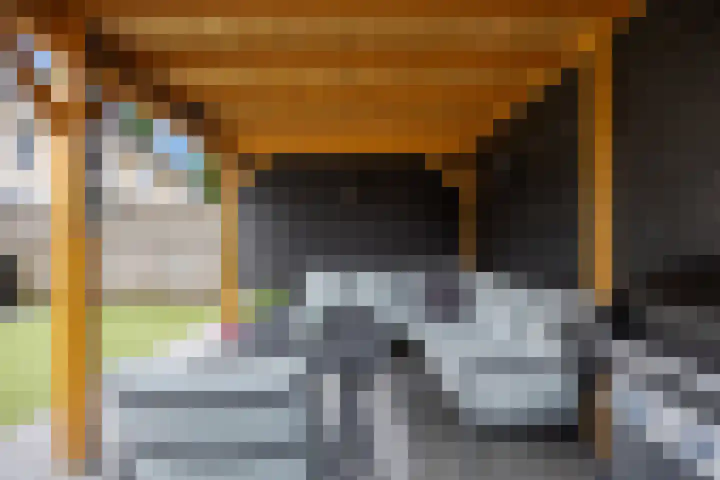 Buizerd 23 Siddeburen thumbnail 61