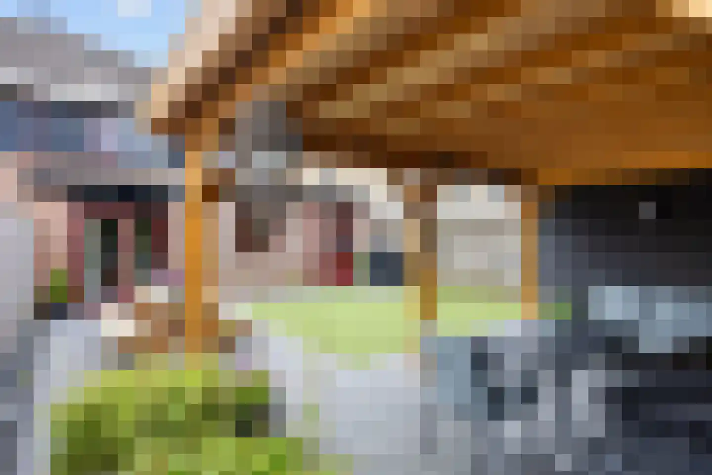 Buizerd 23 Siddeburen thumbnail 62