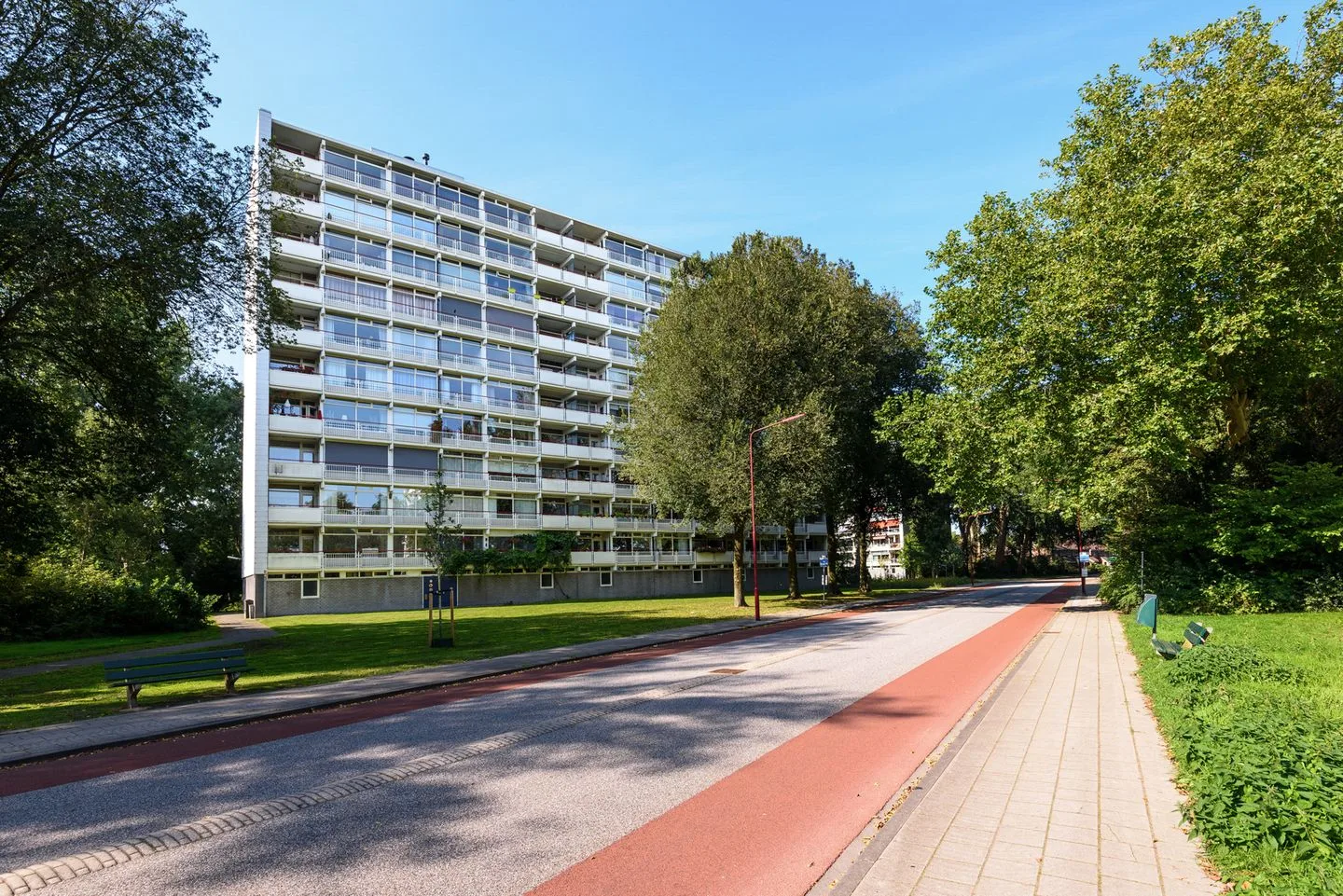 Buizerd 25 in Heerenveen