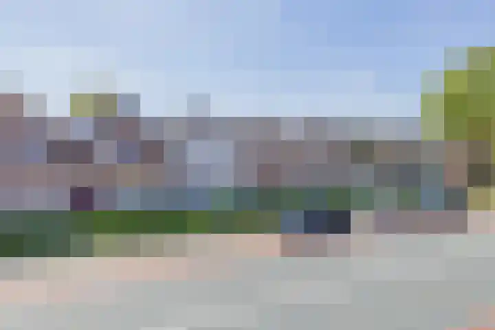 Buizerd 25 Veldhoven