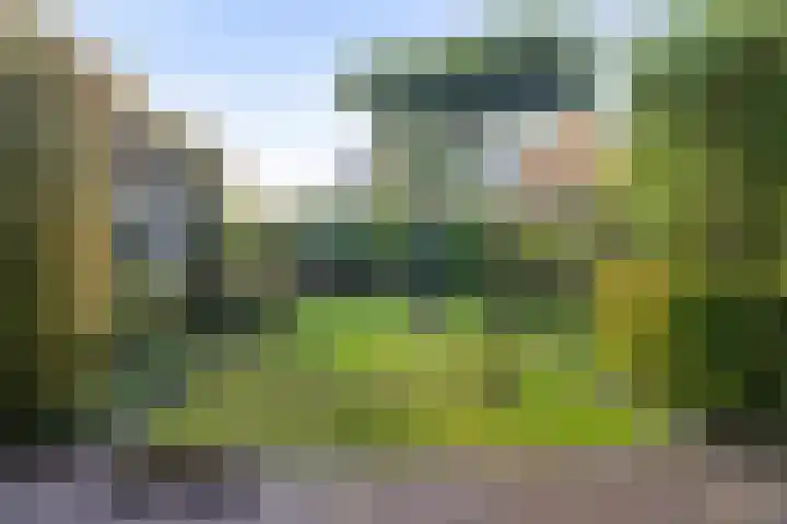 Buizerd 25 Veldhoven thumbnail 43