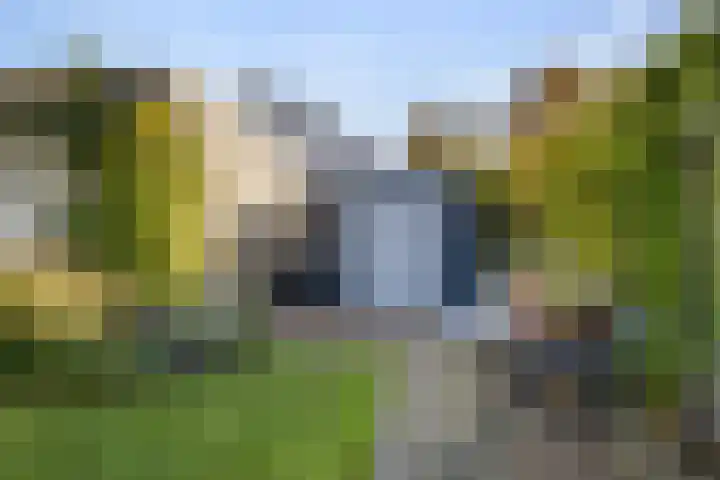 Buizerd 25 Veldhoven thumbnail 44