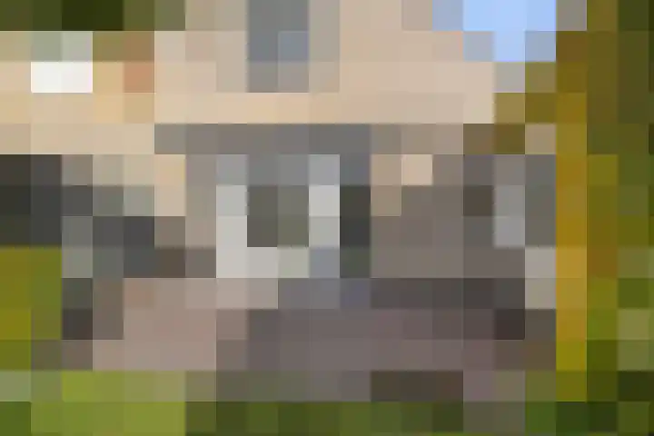 Buizerd 25 Veldhoven thumbnail 46