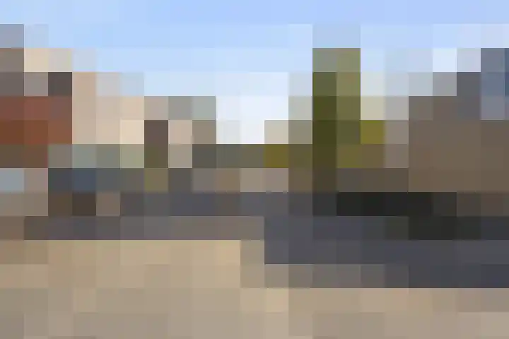 Buizerd 25 Veldhoven thumbnail 47