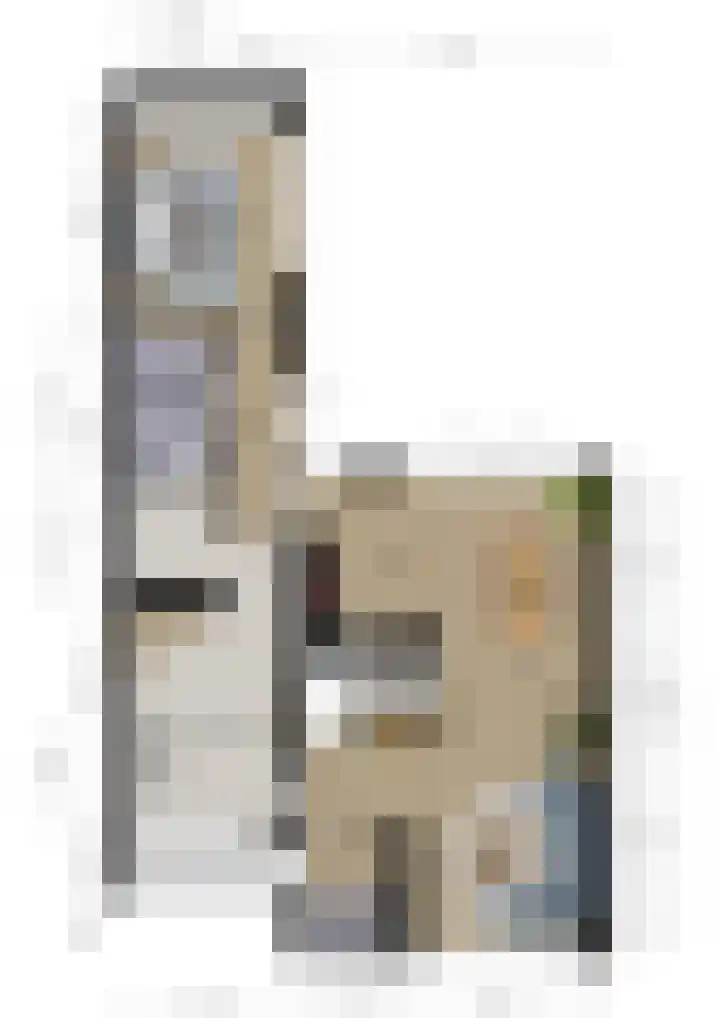 Buizerd 25 Veldhoven thumbnail 49