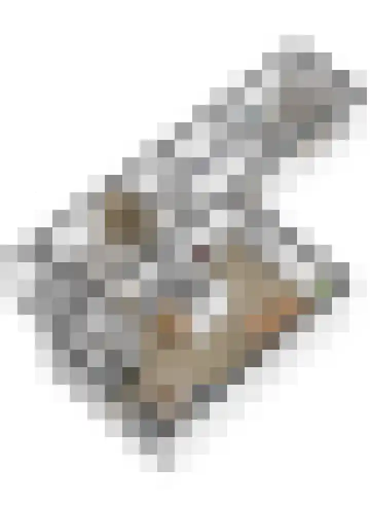 Buizerd 25 Veldhoven thumbnail 50