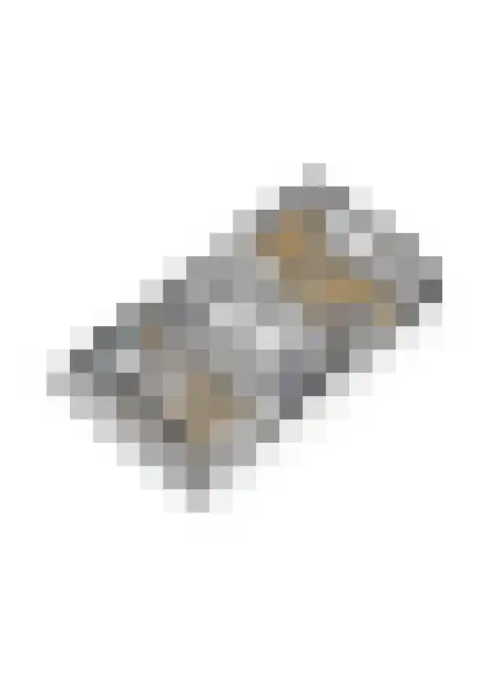 Buizerd 25 Veldhoven thumbnail 52