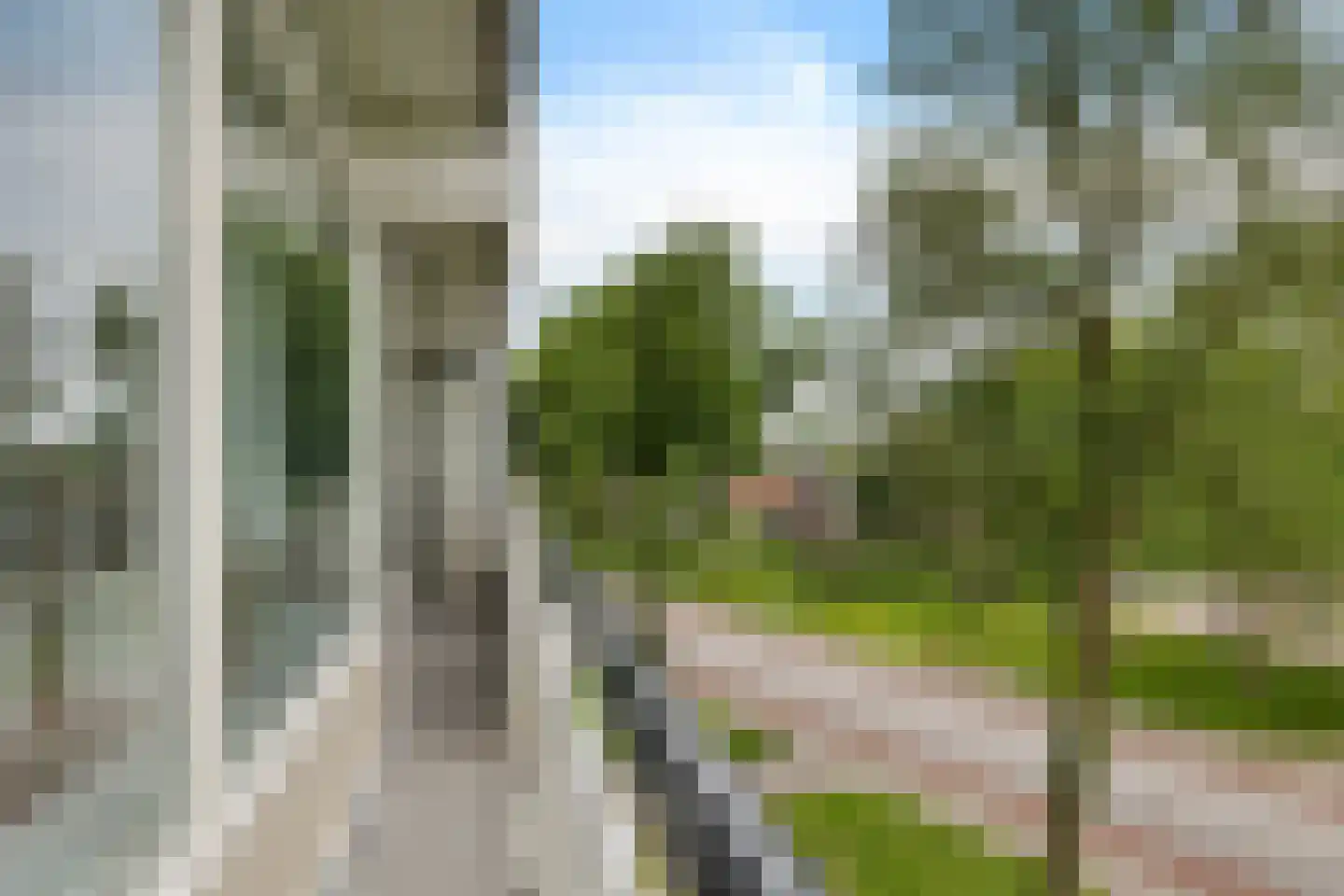 Buizerd 34 Heerenveen thumbnail 29