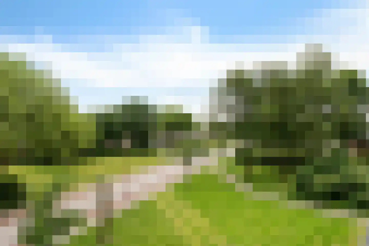 Buizerd 34 Heerenveen thumbnail 30
