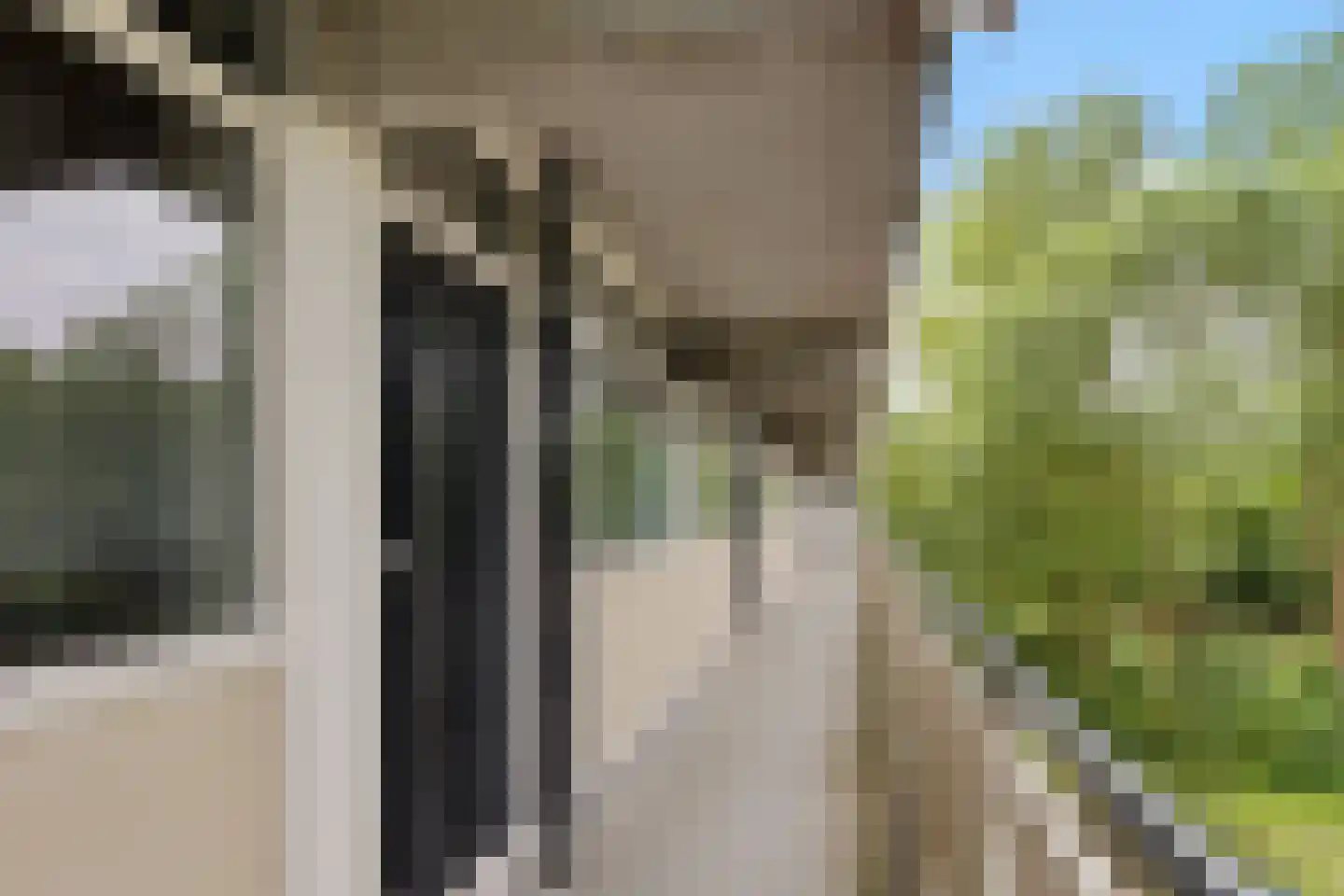 Buizerd 34 Heerenveen thumbnail 37
