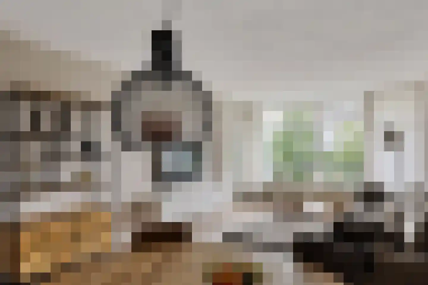 Buizerd 34 Heerenveen thumbnail 4